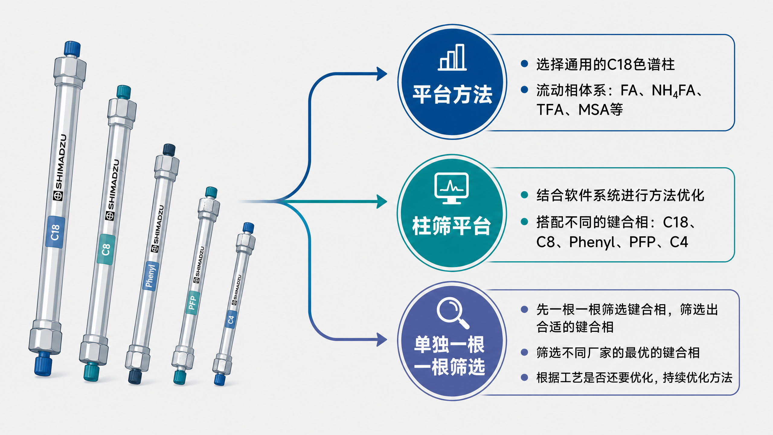 图 1、多肽分析筛选方式